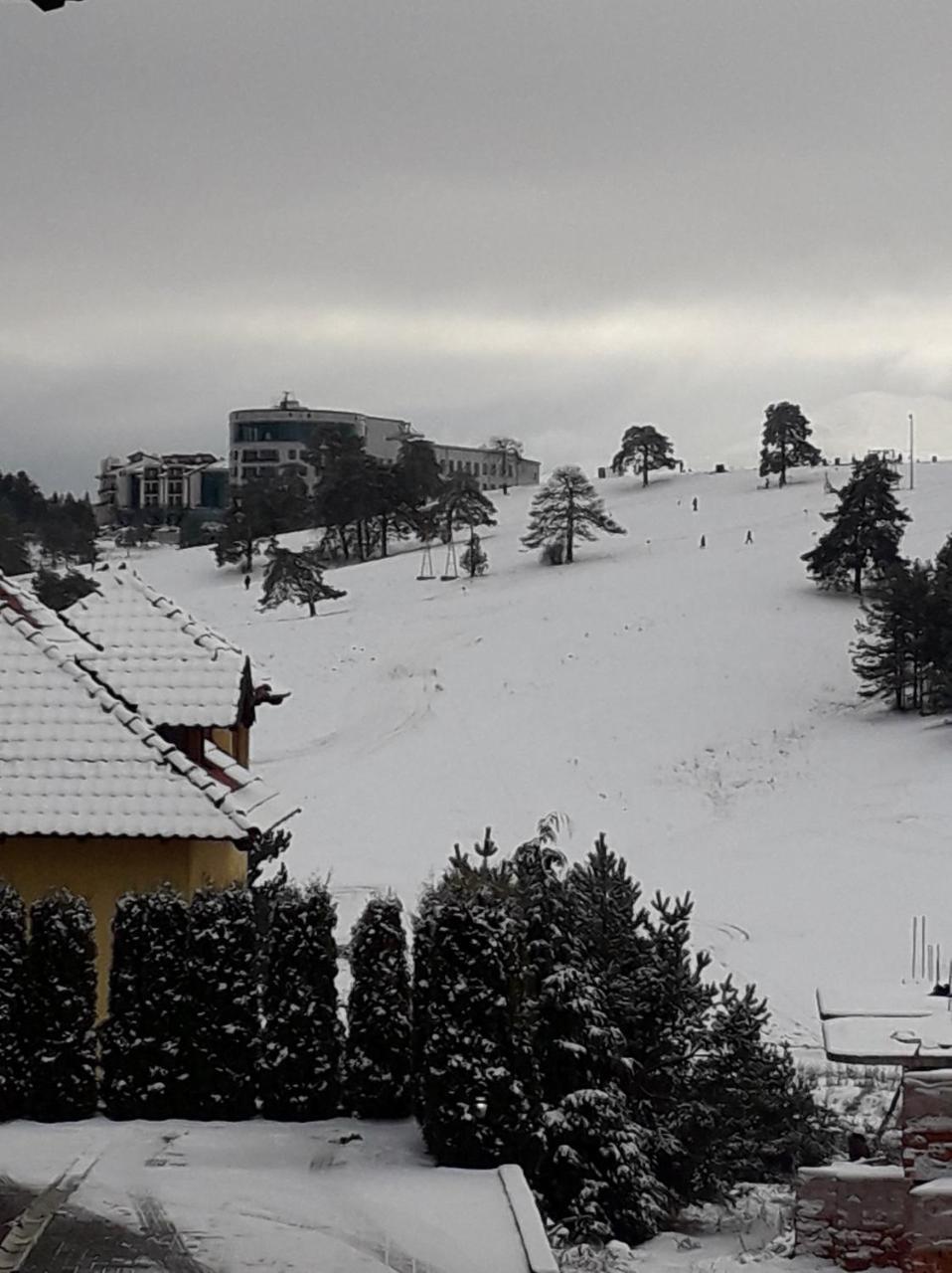 Hotel Apartman Gogi à Zlatibor Extérieur photo